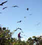 Don-with-birds.jpg (32755 bytes)