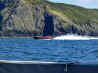 Moturua Island 016.jpg (158230 bytes)