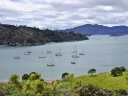 Moturua Island 010