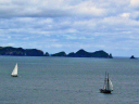 Moturua Island 011