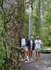visit from Norm & Marianne 002.jpg (200164 bytes)