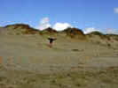 visit from Norm & Marianne 021.jpg (142484 bytes)