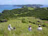 visit from Norm & Marianne 075.jpg (167029 bytes)