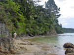 Bay of Islands-21_edited.jpg (167164 bytes)