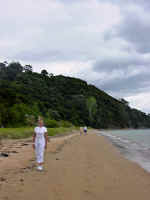 Bay of Islands-22_edited.jpg (119107 bytes)