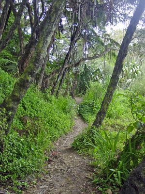 Bay of Islands-14_edited