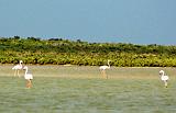 Long Island-2