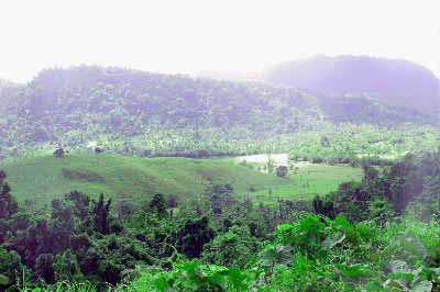 Samoa 066.jpg (19043 bytes)