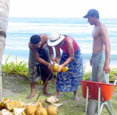 Samoa 075.jpg (27754 bytes)